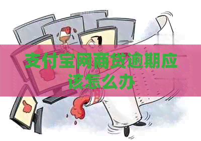 支付宝网商贷逾期应该怎么办