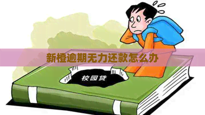 新橙逾期无力还款怎么办