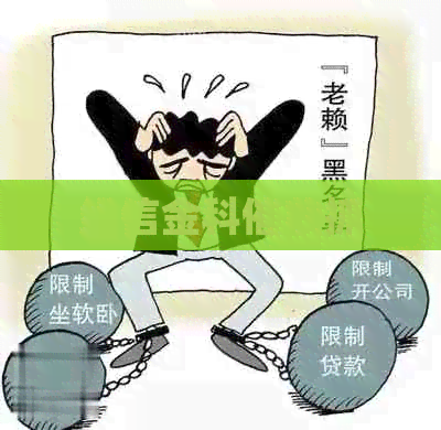 维信金科抓