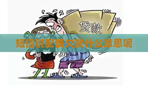 短信说配偶欠款什么意思呢