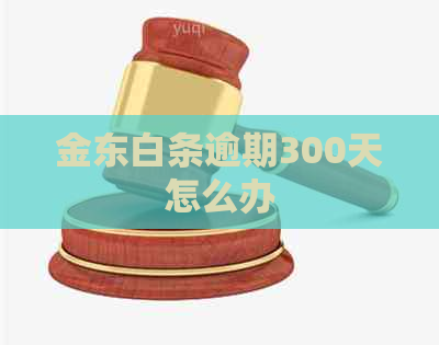 金东白条逾期300天怎么办