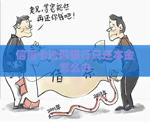 信用卡逾期银行只还本金怎么办