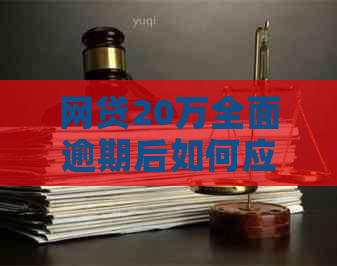 网贷20万全面逾期后如何应对