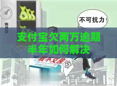 支付宝欠两万逾期半年如何解决