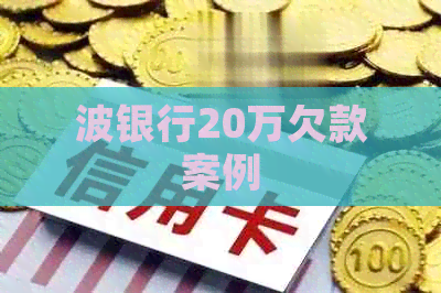 波银行20万欠款案例