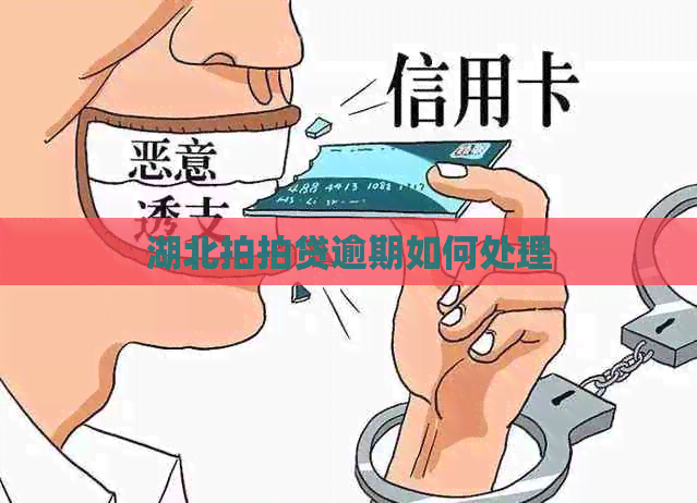 湖北逾期如何处理