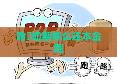 哈啰逾期怎么还本金呢