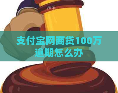 支付宝网商贷100万逾期怎么办