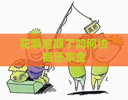 花呗逾期了如何协商还本金