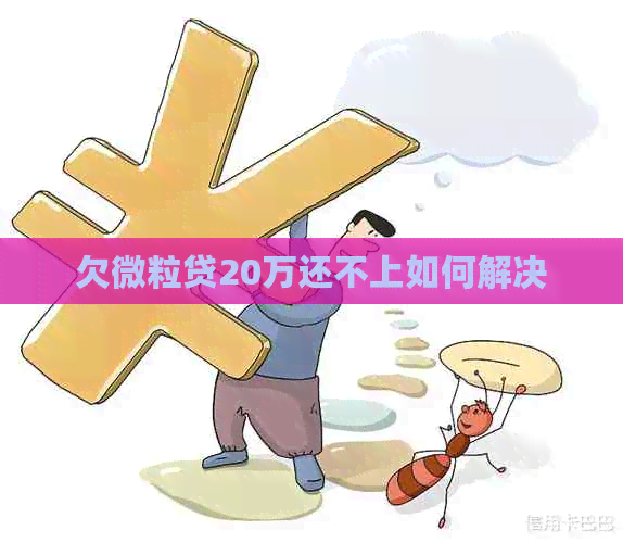 欠微粒贷20万还不上如何解决