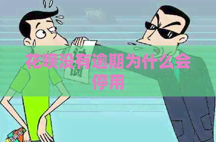 花呗没有逾期为什么会停用