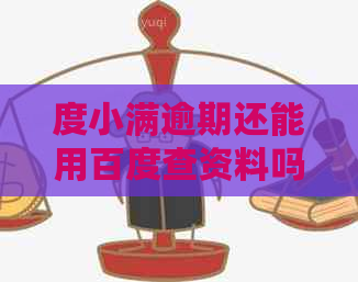 度小满逾期还能用百度查资料吗