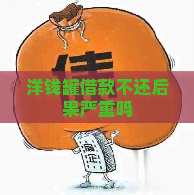 洋钱罐借款不还后果严重吗