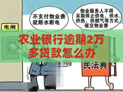 农业银行逾期2万多贷款怎么办