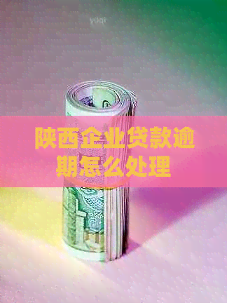 陕西企业贷款逾期怎么处理