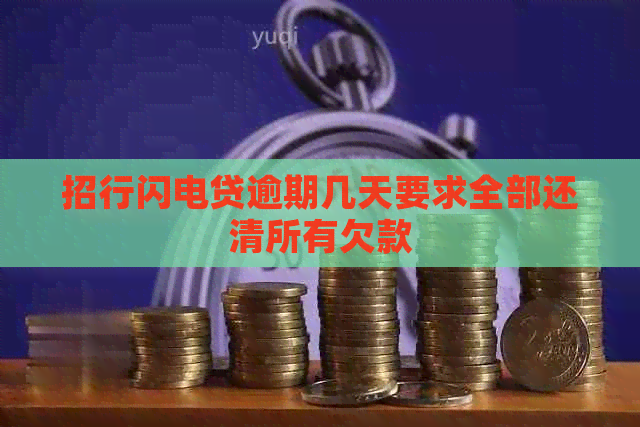 招行闪电贷逾期几天要求全部还清所有欠款