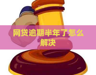 网贷逾期半年了怎么解决