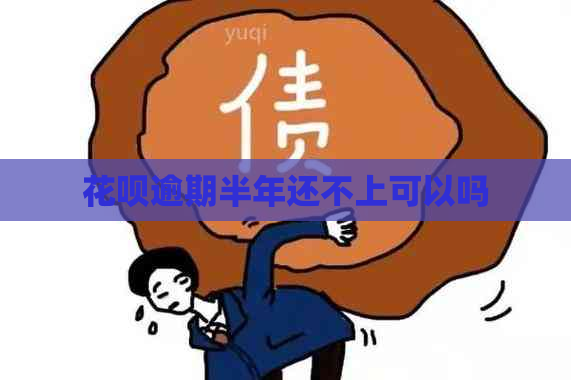 花呗逾期半年还不上可以吗