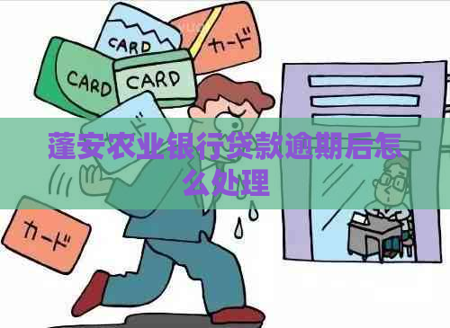 蓬安农业银行贷款逾期后怎么处理