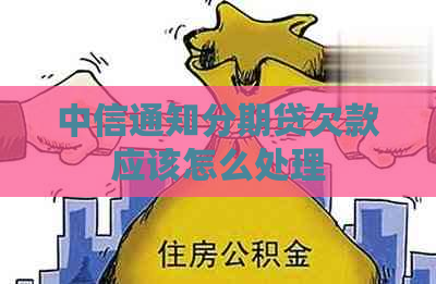 中信通知分期贷欠款应该怎么处理