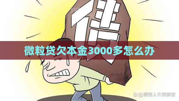 微粒贷欠本金3000多怎么办