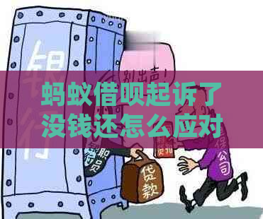 蚂蚁借呗起诉了没钱还怎么应对