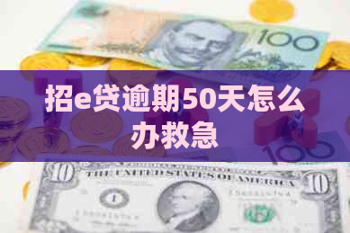 招e贷逾期50天怎么办救急