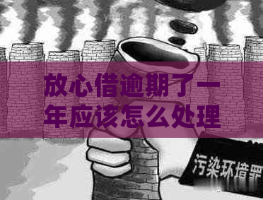 放心借逾期了一年应该怎么处理