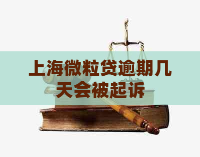 上海微粒贷逾期几天会被起诉