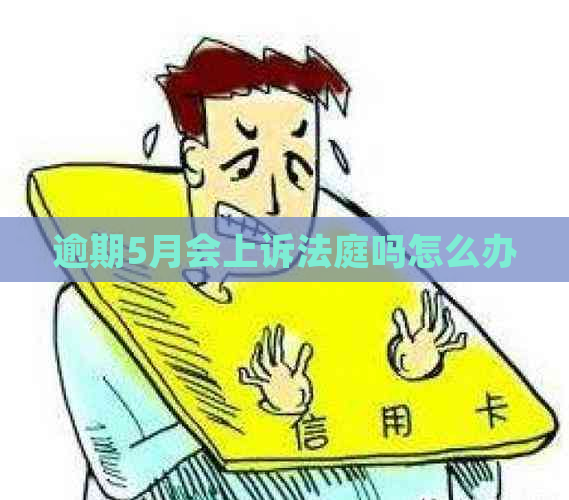 逾期5月会上诉法庭吗怎么办