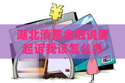 湖北消费金融说要起诉我该怎么办