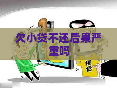 欠小贷不还后果严重吗