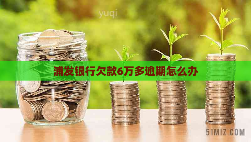 浦发银行欠款6万多逾期怎么办