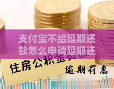 支付宝不给延期还款怎么申请延期还款