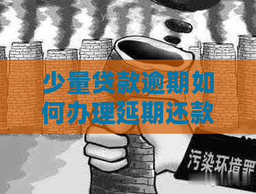 少量贷款逾期如何办理延期还款