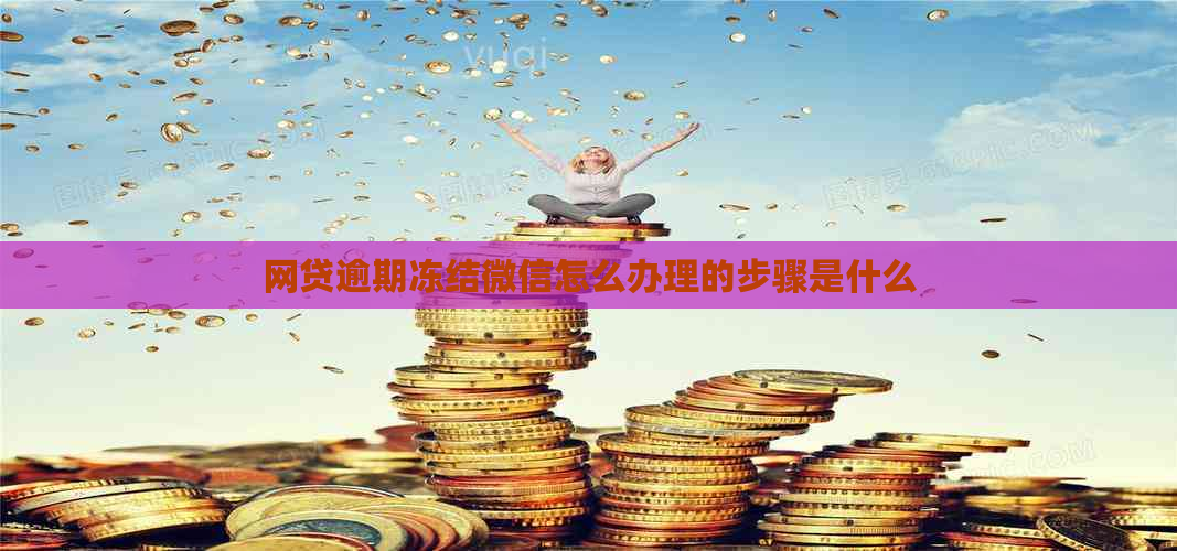 网贷逾期冻结微信怎么办理的步骤是什么