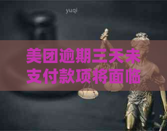 美团逾期三天未支付款项将面临起诉