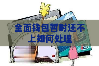 全面钱包暂时还不上如何处理