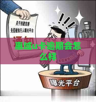 惠域u卡逾期会怎么样