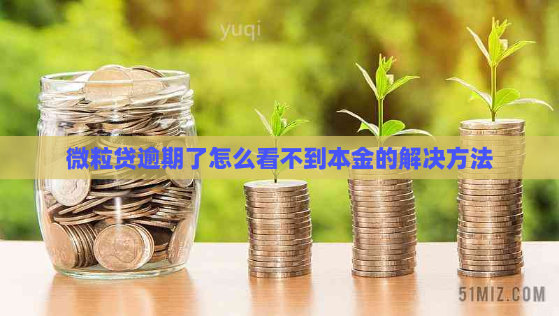 微粒贷逾期了怎么看不到本金的解决方法