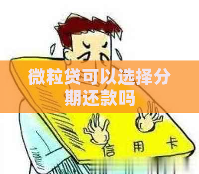 微粒贷可以选择分期还款吗