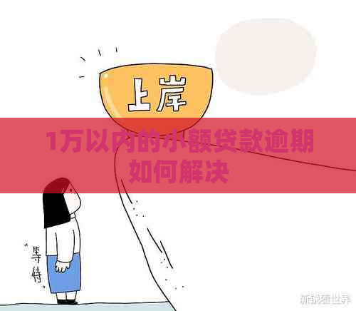 1万以内的小额贷款逾期如何解决