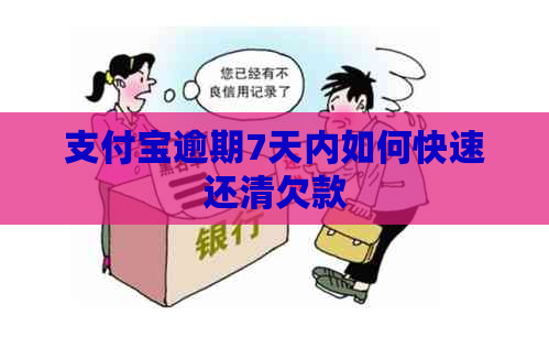 支付宝逾期7天内如何快速还清欠款