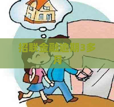 招联金融逾期3多月