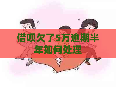 借呗欠了5万逾期半年如何处理