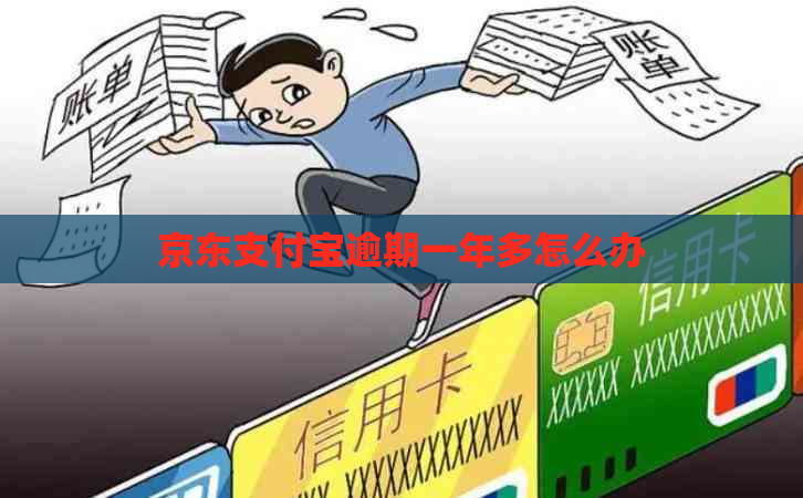 京东支付宝逾期一年多怎么办