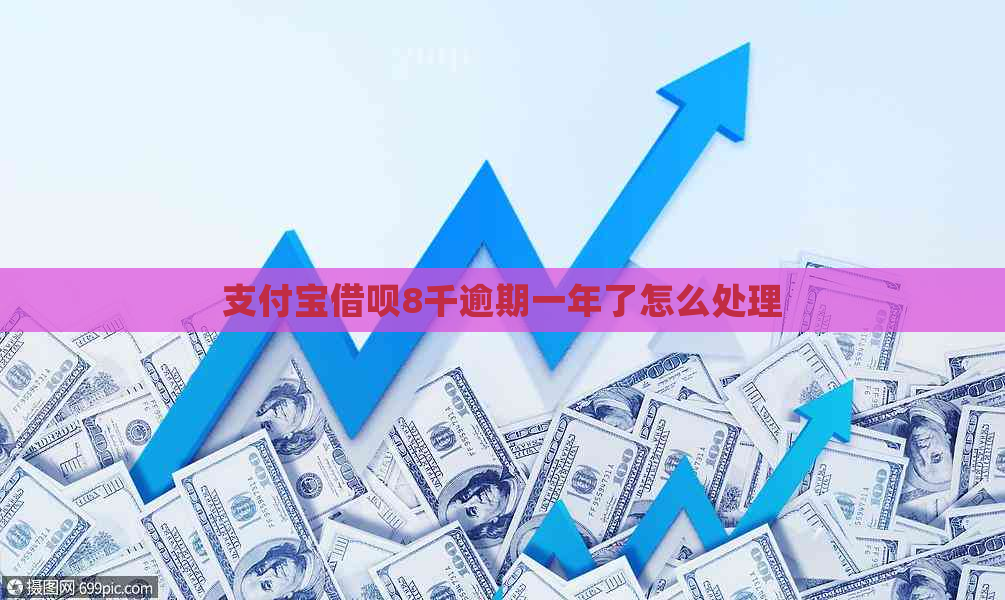 支付宝借呗8千逾期一年了怎么处理