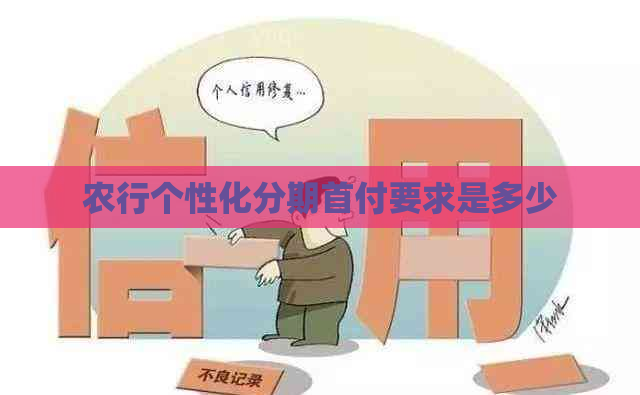 农行个性化分期首付要求是多少