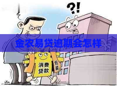 金农易贷逾期会怎样