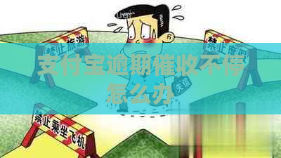 支付宝逾期不停怎么办